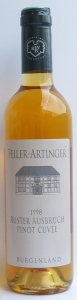 Feiler-Artinger Ausbruch 2015
