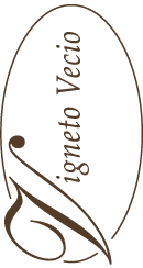 Vigneto Vecio PROSECCO DOCG  brut 2022